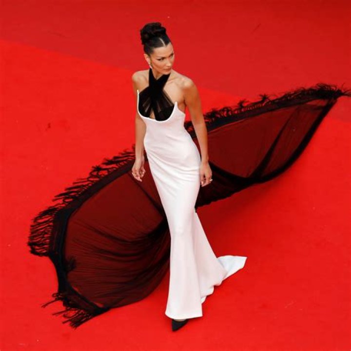 Bella Hadid’s Cannes Film Festival Dress — Pictures Of Her Daring Gown