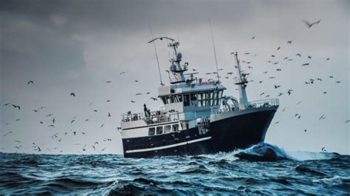 Photos Of The Franchise – Hollywood Life