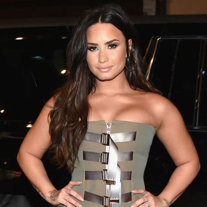 Demi Lovato Reveals Stretch Marks In Photo After Showing Off Cellulite — See Body-Positive Pic