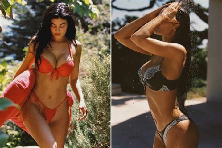 Travis Scott Leaves Flirty Comment – Hollywood Life