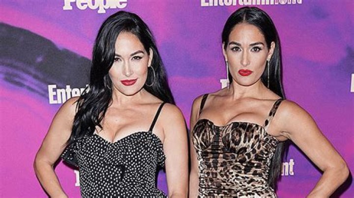 Nikki & Brie Bella Cradle & Show Off Their Newborn Sons In Cute New Pics 6 Weeks After Births