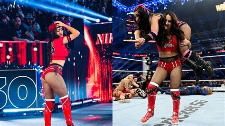 Nikki & Brie Bella Tease A Possible Return To WWE: We’re ‘Definitely’ Into ‘Coming Back’ — Watch