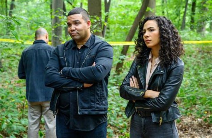 ‘Prodigal Son’s Aurora Perrineau: A ‘Taste’ Of Dani’s Past Will Bring Her & Malcolm ‘Closer Together’