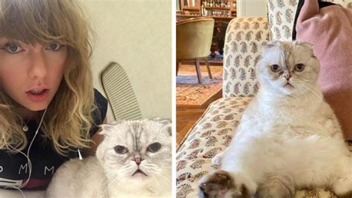 Selena Gomez Says She’s ‘Missing’ Taylor Swift With Throwback Cat Pics – Hollywood Life