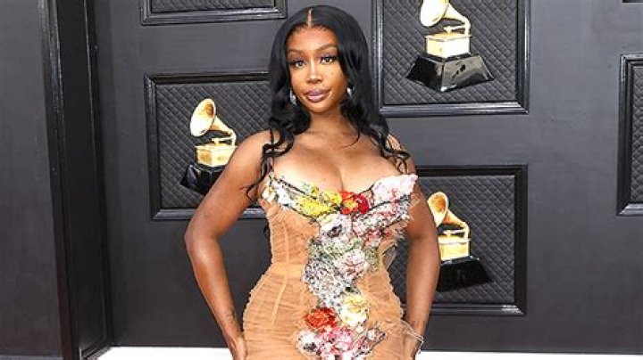 SZA Seems To Address Plastic Surgery Rumors In New Album Lyrics – Hollywood Life