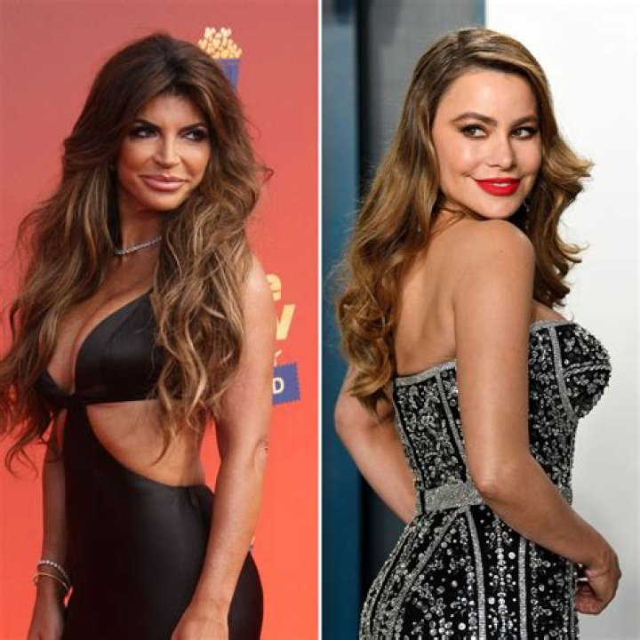 Teresa Giudice Slams Sofia Vergara As ‘Rude’ In New Comments – Hollywood Life